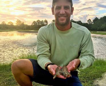 Sistemas automatizados de alimentación en estanques de camarón blanco del Pacífico