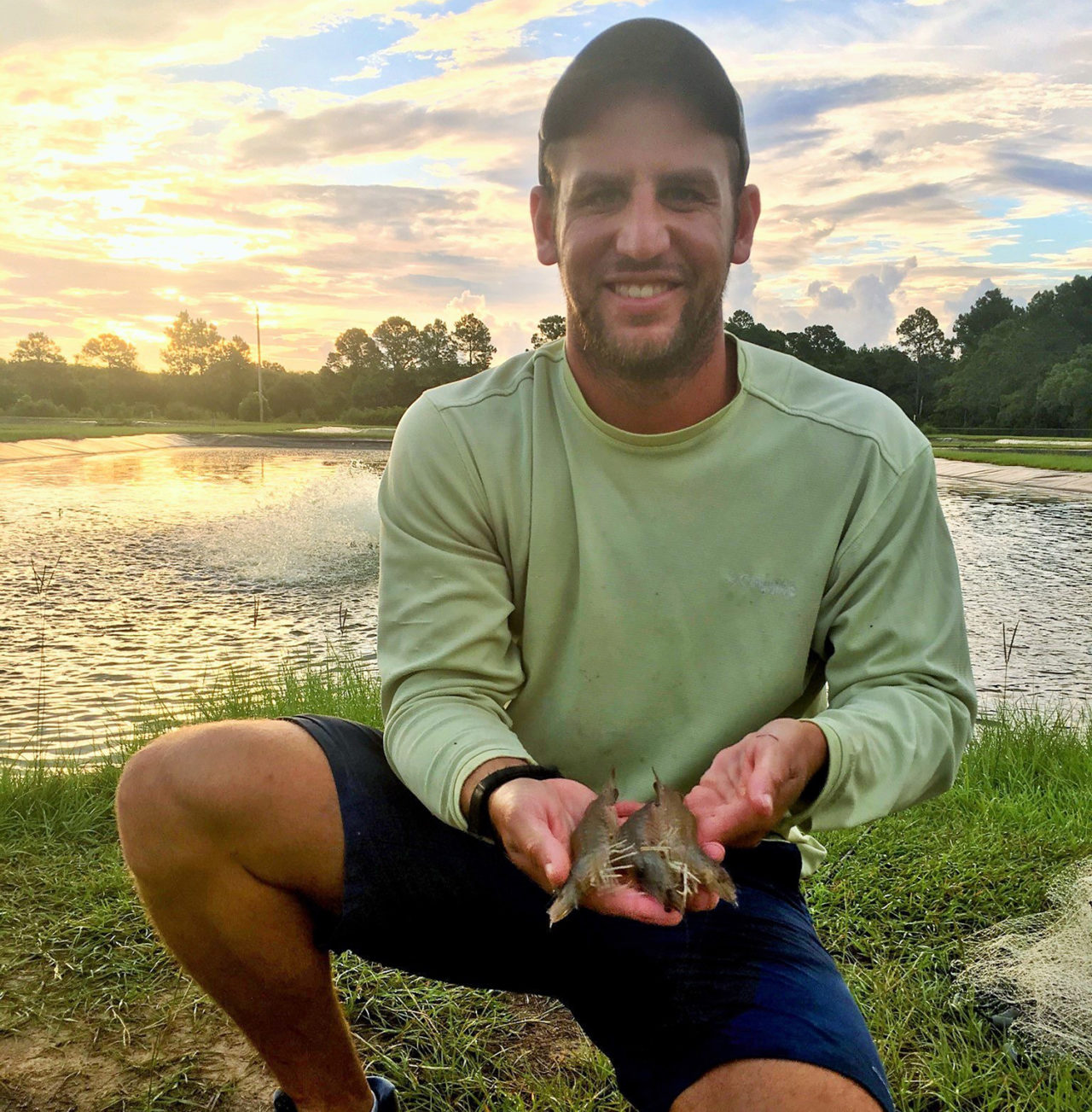 Sistemas automatizados de alimentación en estanques de camarón blanco del Pacífico