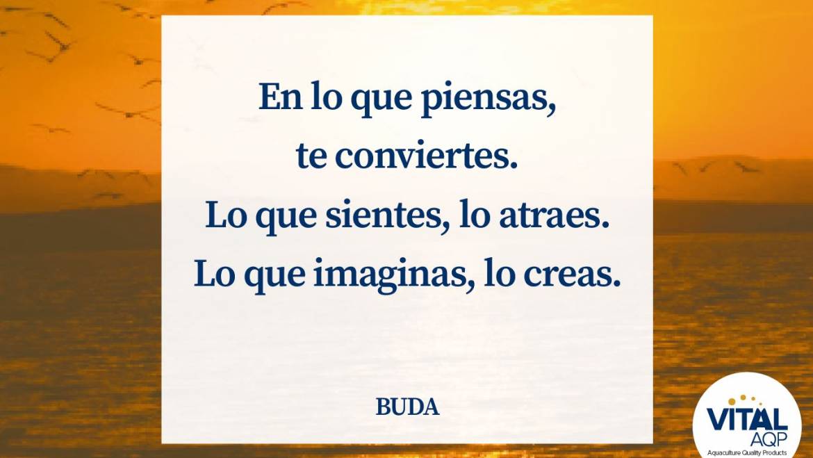Reflexión