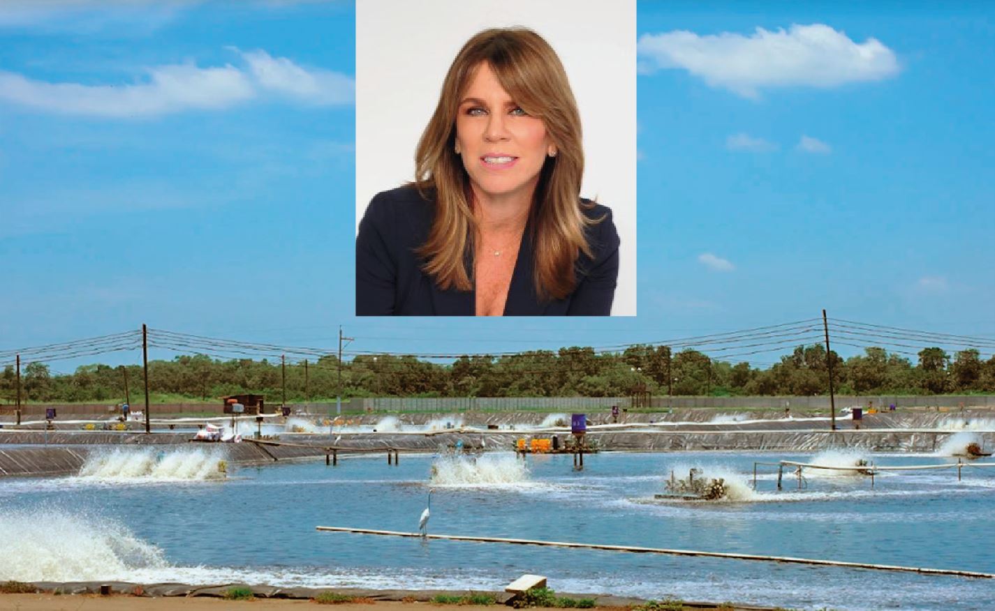 Arranca Perú: ¿Y si empezamos por la acuicultura?