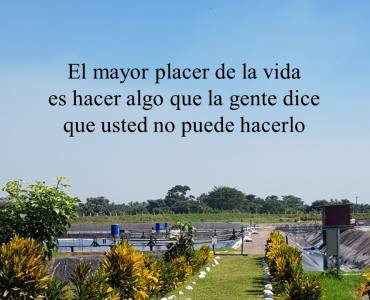 El mayor placer de la vida