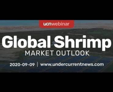 Webinar de Undercurrent News para profesionales de productos del mar: “Perspectivas del mercado mundial del camarón”