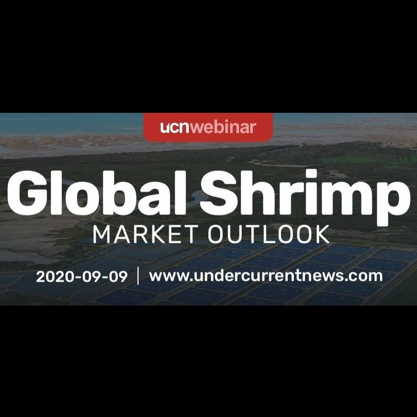Webinar de Undercurrent News para profesionales de productos del mar: “Perspectivas del mercado mundial del camarón”