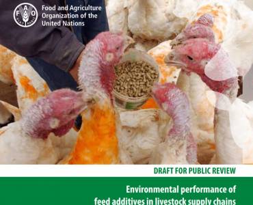 Desempeño ambiental de los aditivos alimentarios en las cadenas de suministro de ganado – Directrices para la evaluación