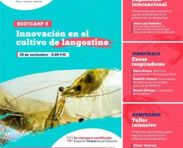Aqua Innova Bootcamp