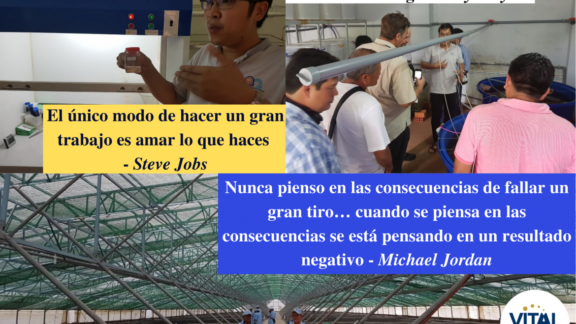 Pensamiento