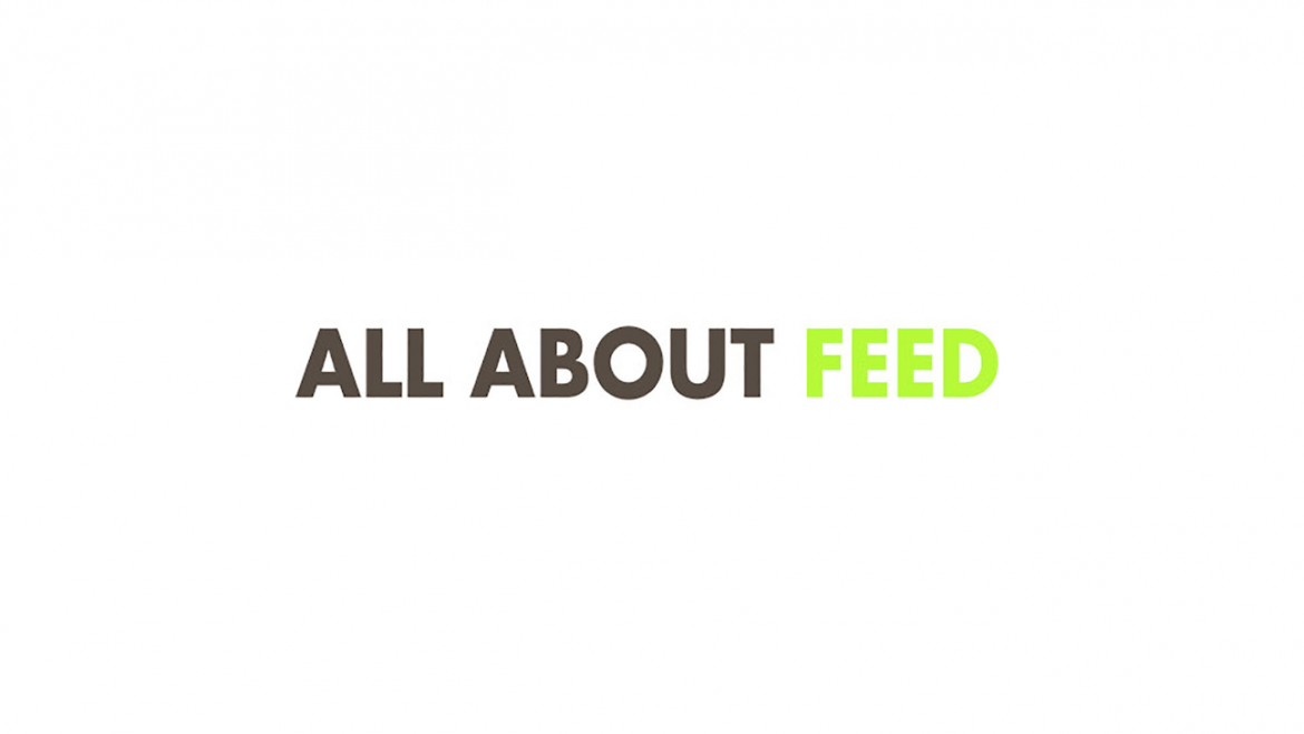 All About Feed