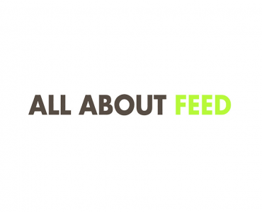 All About Feed