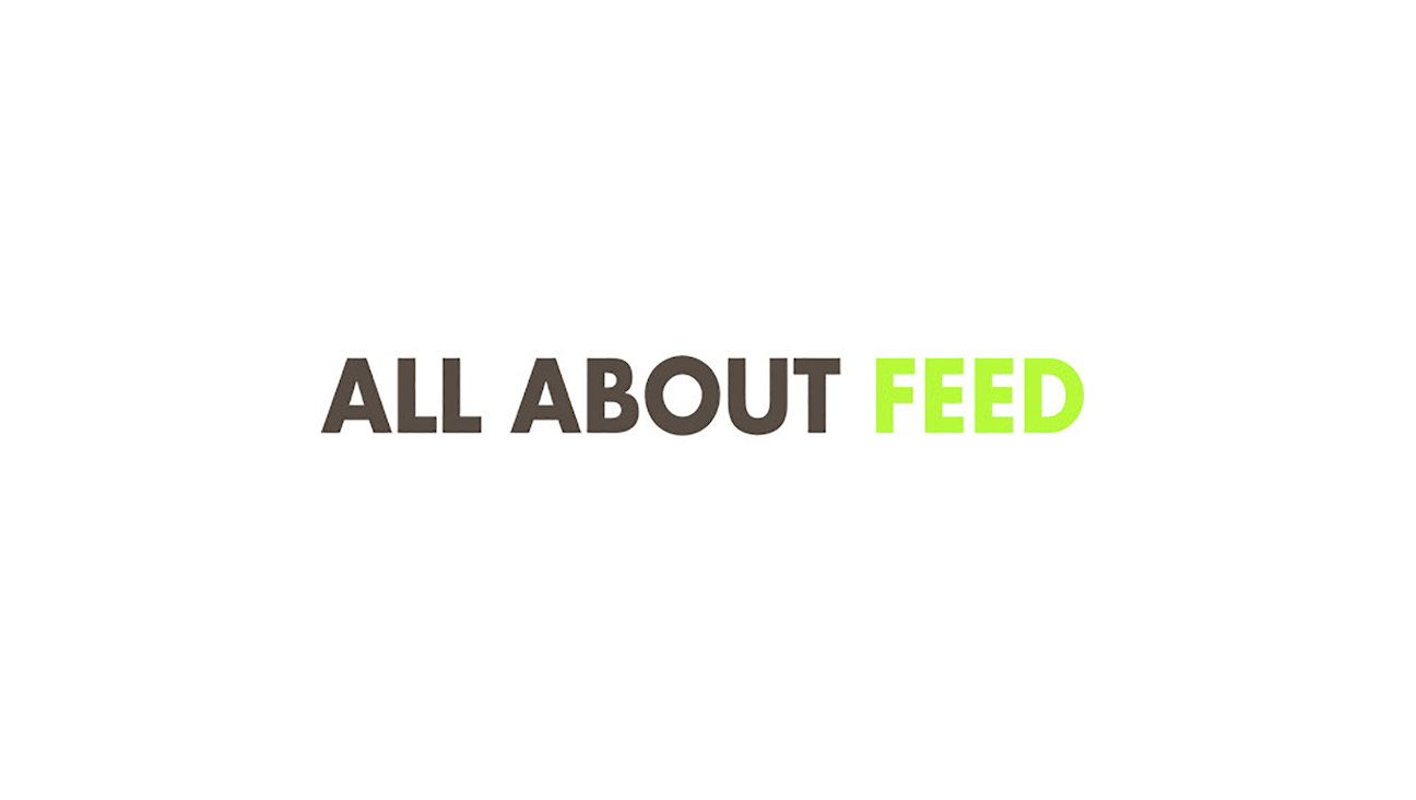 All About Feed