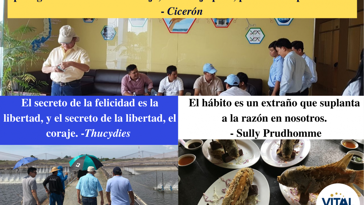 Pensamiento