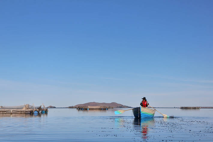 La Acuicultura es una parte fundamental de la transformación de los sistemas agroalimentarios mundiales.
