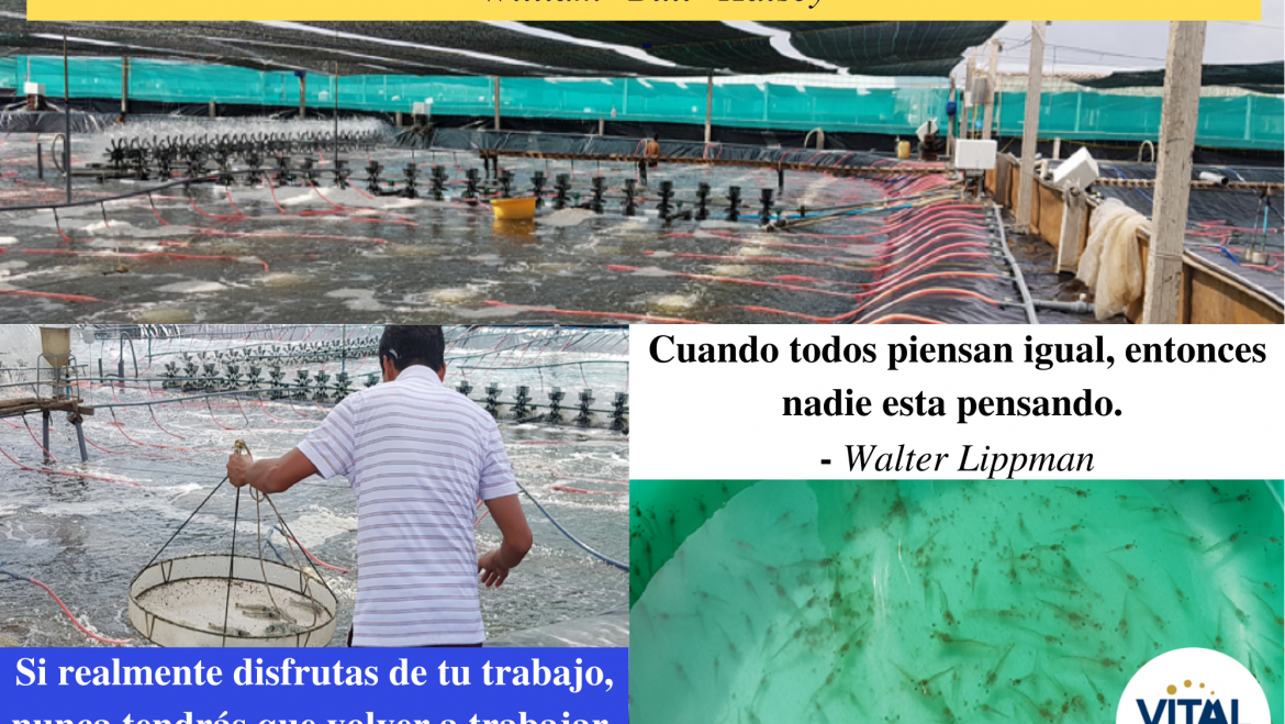 Pensamiento