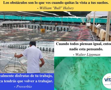 Pensamiento