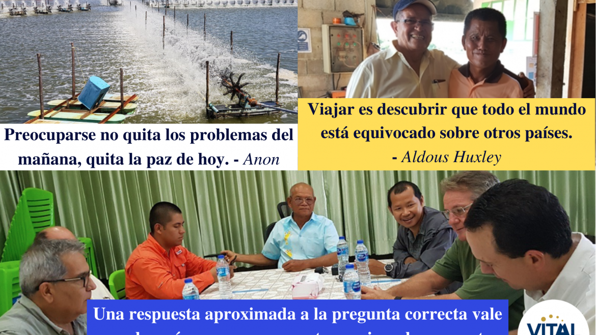 Pensamiento