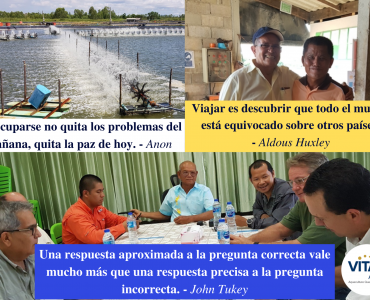 Pensamiento