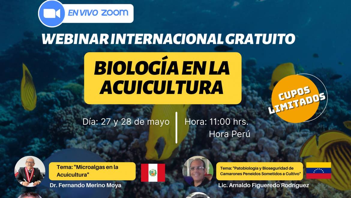Webinar Internacional