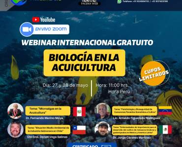 Webinar Internacional