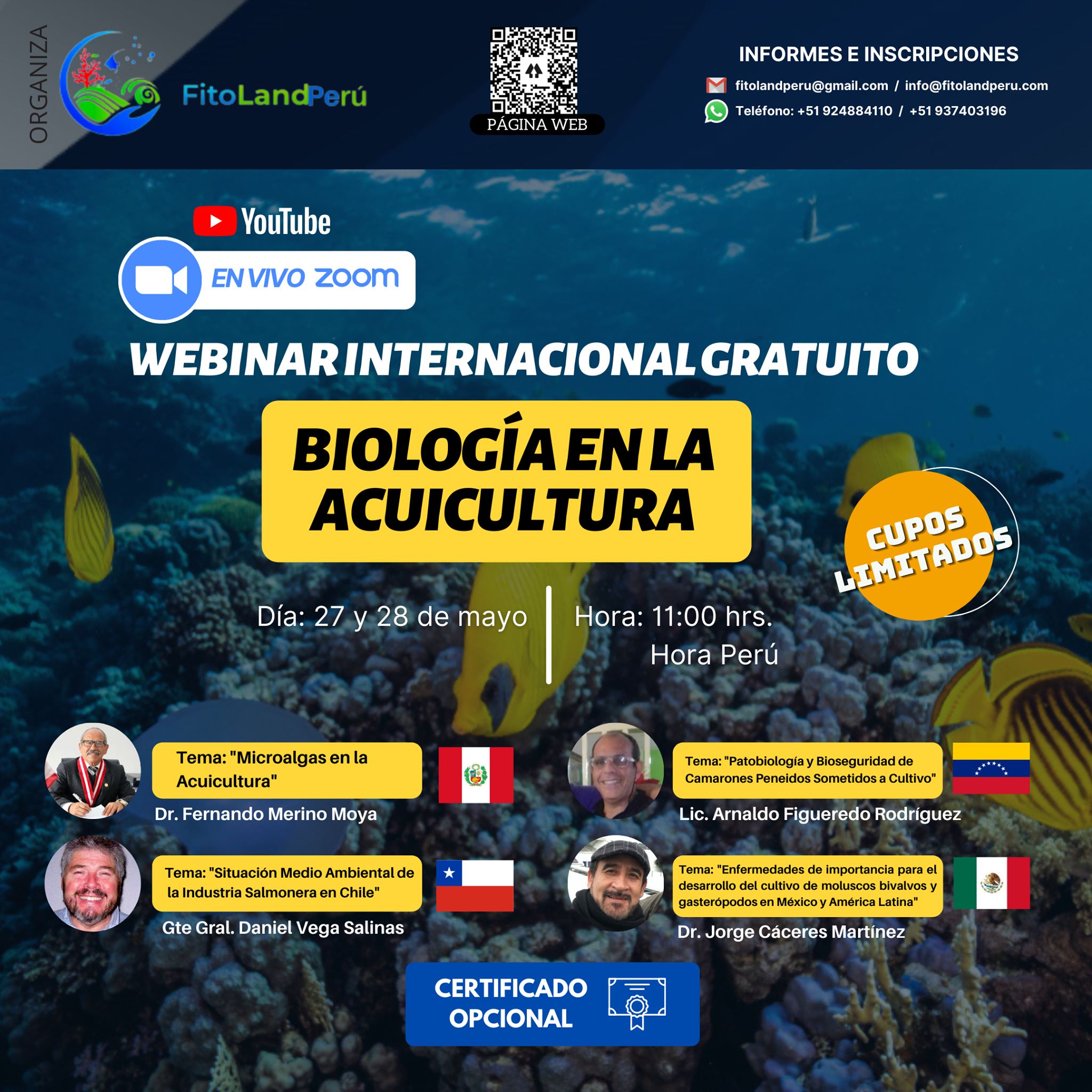 Webinar Internacional