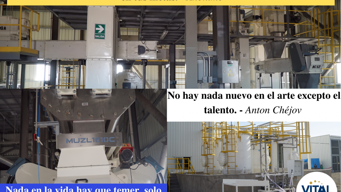 Pensamiento