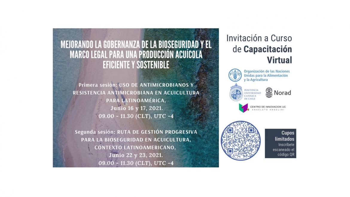 Invitación a Curso de Capacitación Virtual