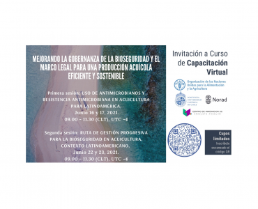 Invitación a Curso de Capacitación Virtual