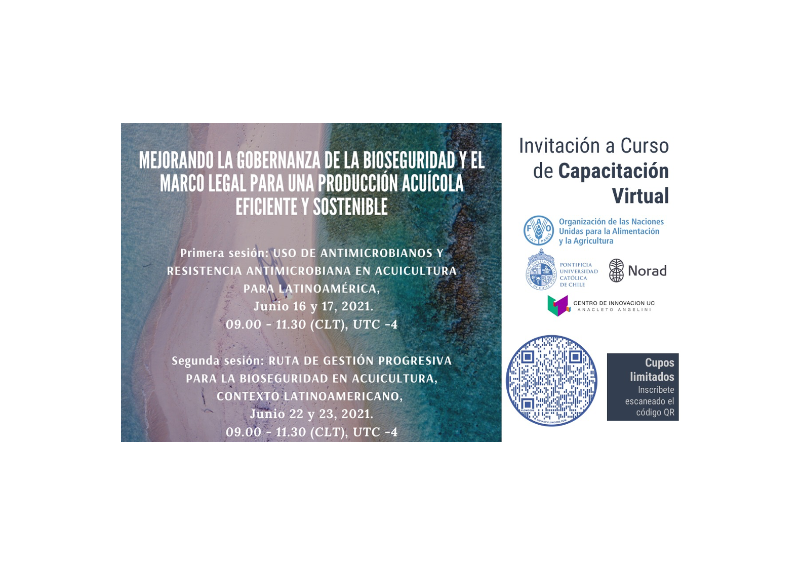 Invitación a Curso de Capacitación Virtual