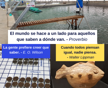 Pensamiento