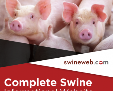 Swineweb.com
