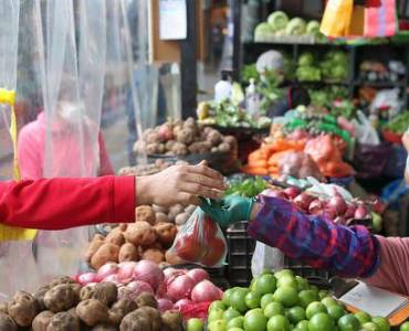 ONU México y FAO informa