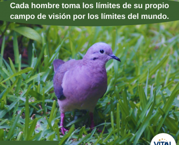 Pensamiento