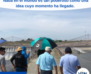 Pensamiento