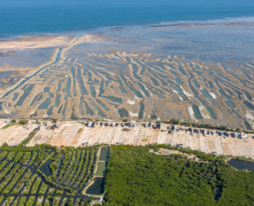 China comienza a tomar medidas ecológicas contra las granjas de acuicultura ecológicamente dañinas