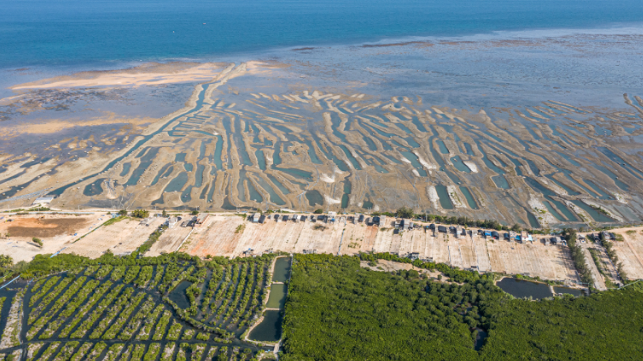 China comienza a tomar medidas ecológicas contra las granjas de acuicultura ecológicamente dañinas