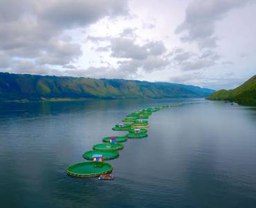 Noticia de Global SeaFood Alliance