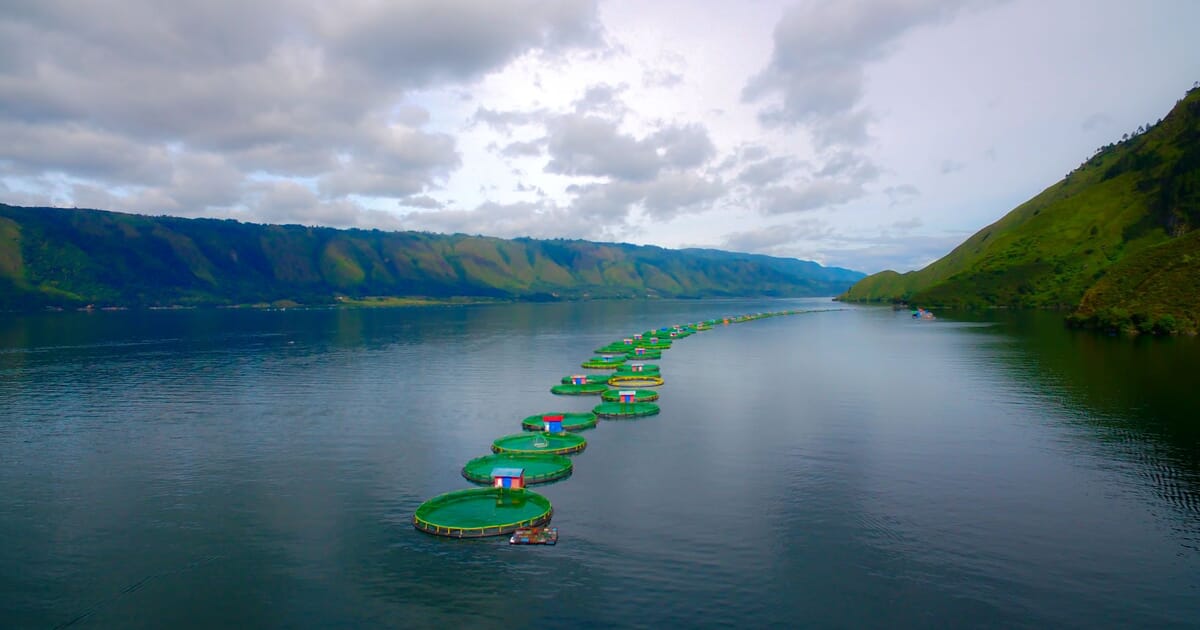 Noticia de Global SeaFood Alliance