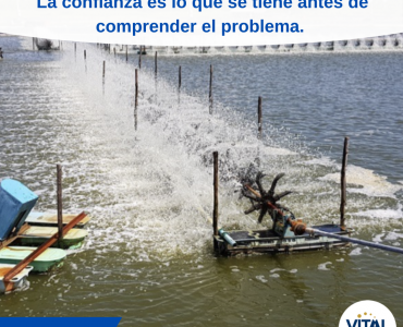 Pensamiento
