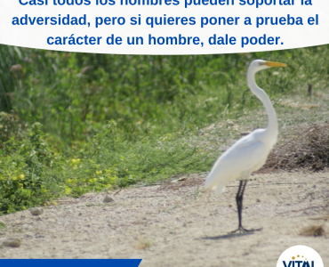 Pensamiento