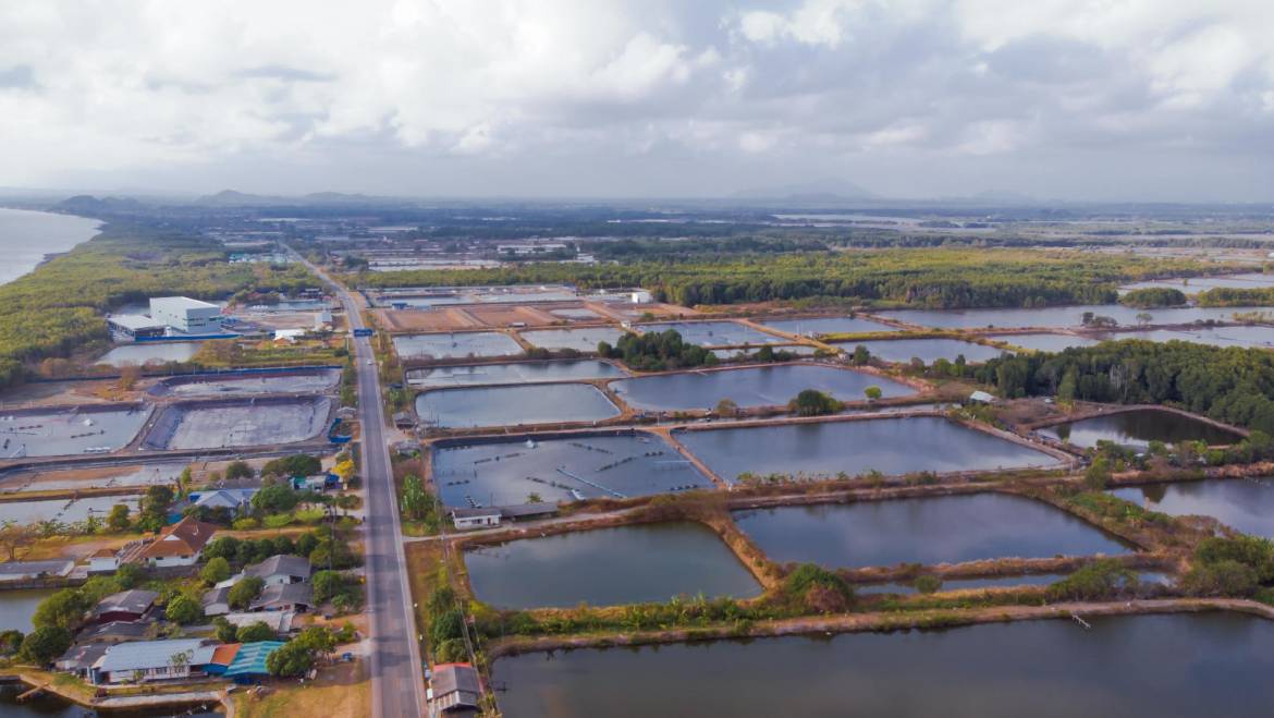 ¿Qué es la declaración de Shanghái y porque debemos de estar todos los acuacultores muy entusiasmados con ella?