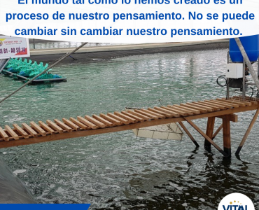Pensamiento