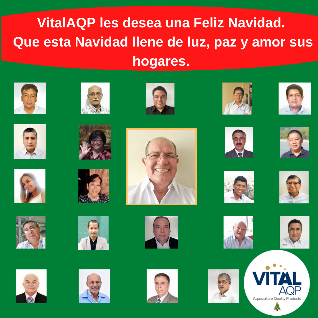 ¡Feliz Navidad!