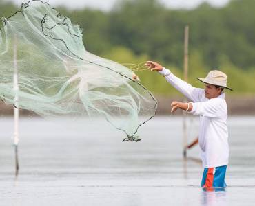 La acuicultura y las empresas de piensos se embarcan en un viaje de reducción de carbono