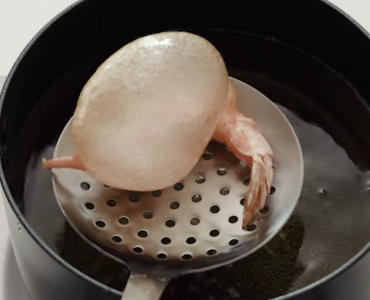 Receta De Camarones Fritos