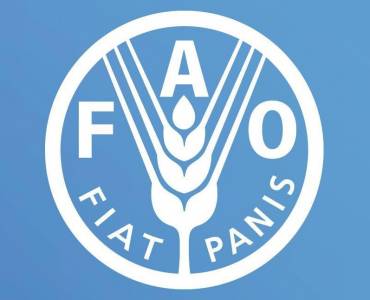 Organización de las Naciones Unidas para la Alimentación y la Agricultura