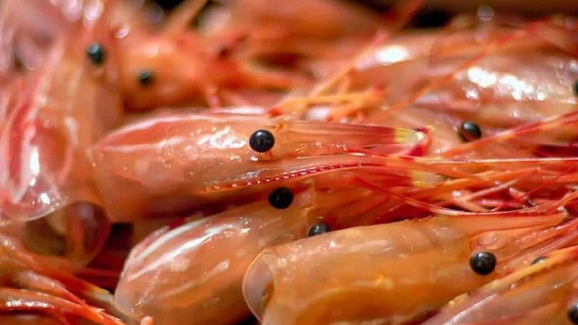 Cabeza de camarón: De residuo a alimento