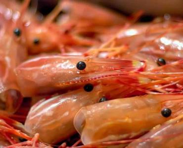 Cabeza de camarón: De residuo a alimento