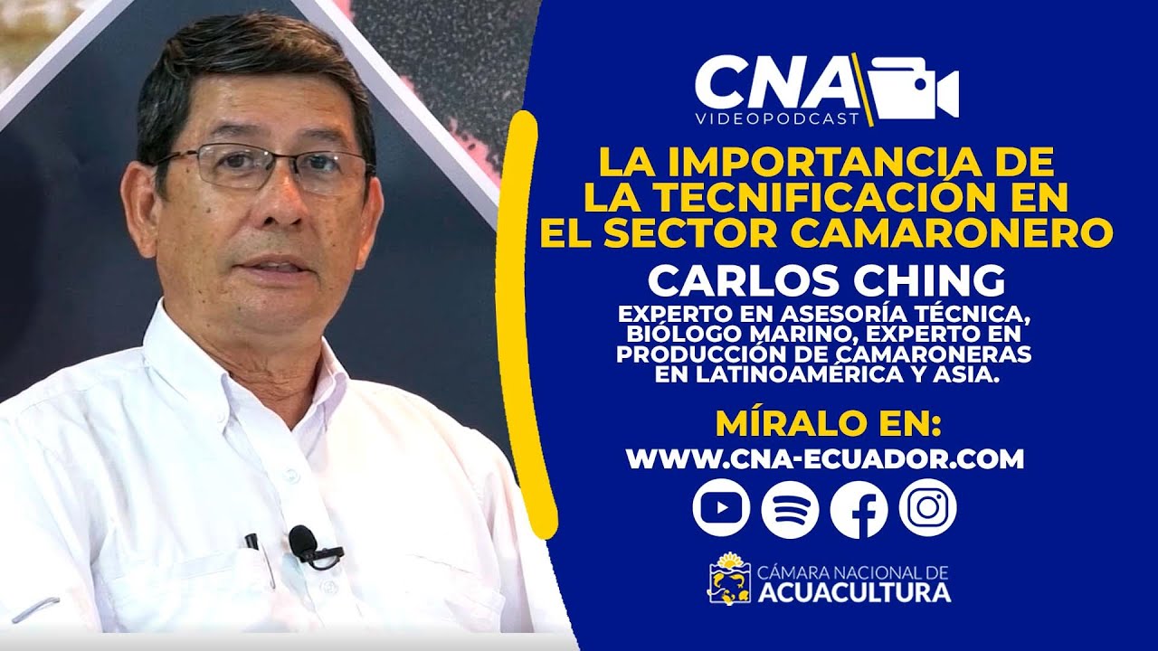 La importancia de tecnificar el sector camaronero