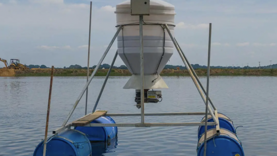 Beneficios del sistema automatizado de alimentación AQ1