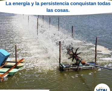 Pensamiento