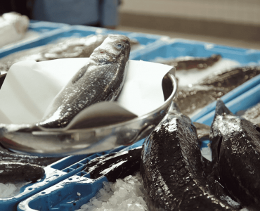 Acuicultura de España: Un paso adelante en la soberanía alimentaria