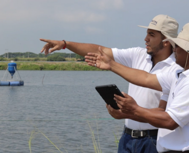 Nicovita abrirá un centro de investigación de camarones en Ecuador